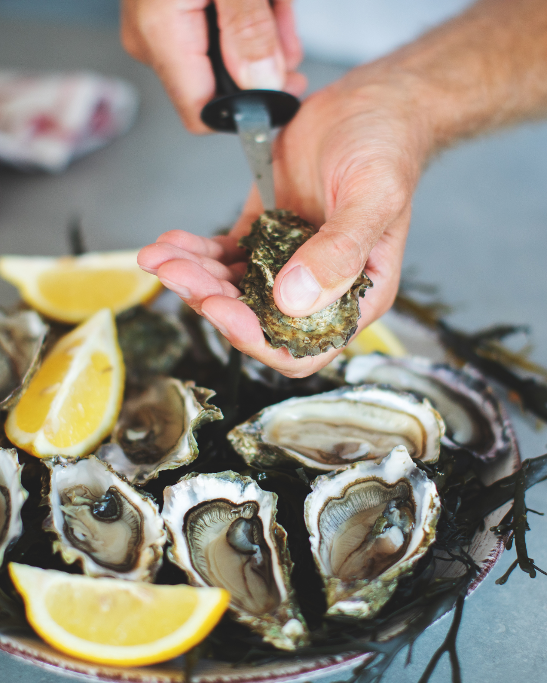 Tipping the Velvet: Bike Ride, Beer Tasting and Oyster Experience